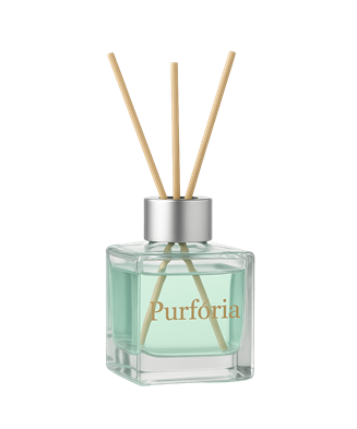 Wood Saj & Sea Salt | U-067 | Diffusore a bastoncini